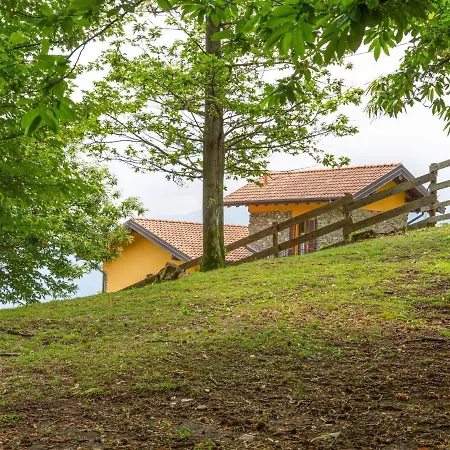 Spacious In With Garden *