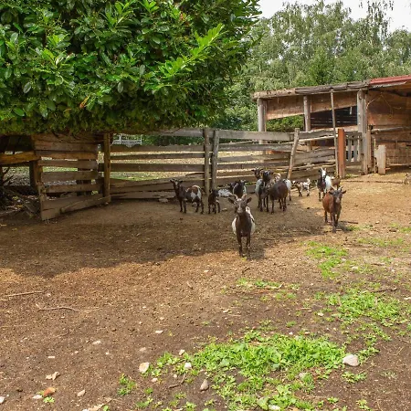 In With Views Tatil Evi