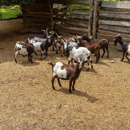 In With Views Tatil Evi